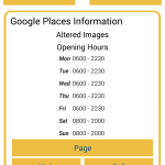 Business details – Google places information